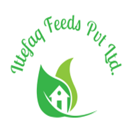 Ittefaq Feed